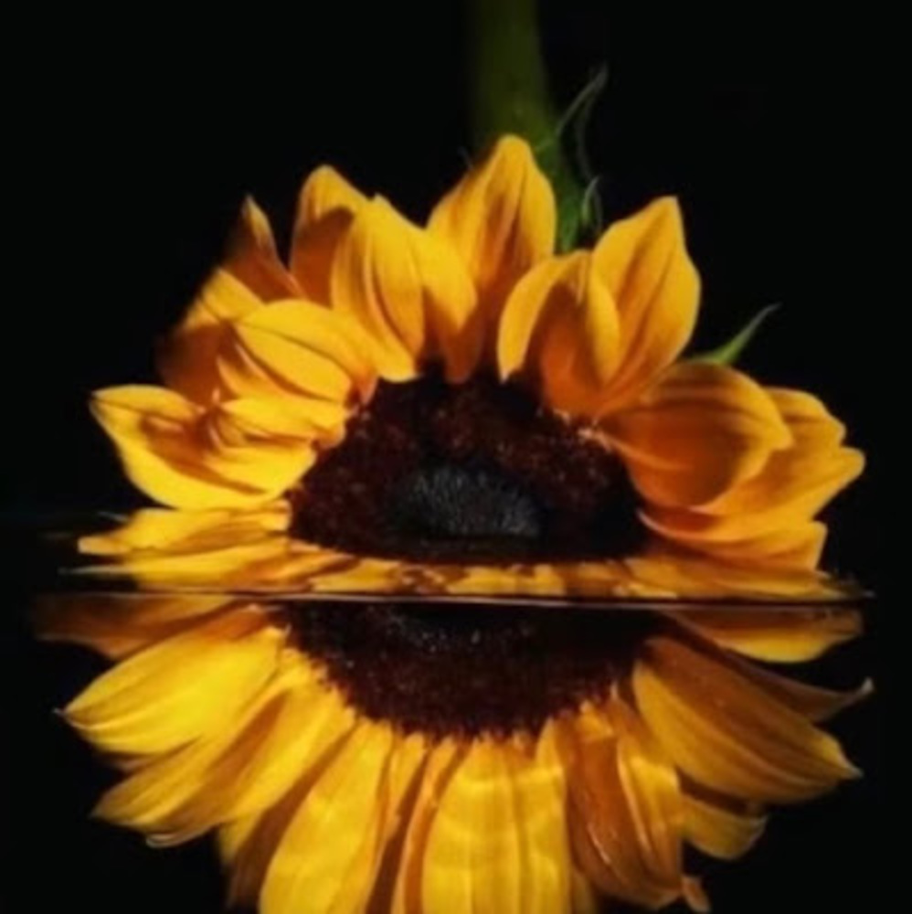 Meet your Posher, Yanet